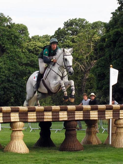 OLYMPIC EQUESTRIAN SPORTS