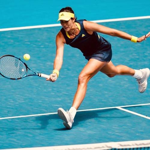 This Week in Sport: 8th November − 14th November 2021