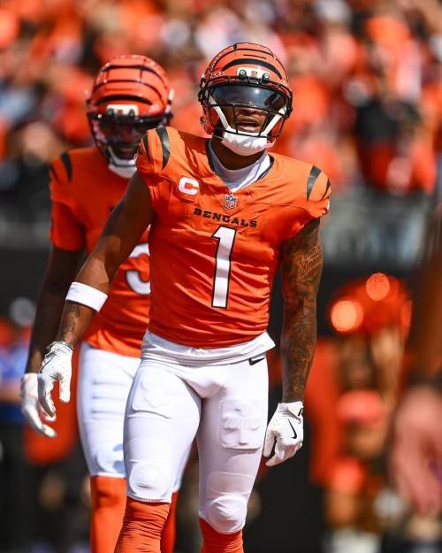 This Week in Sport: 13th October − 19th October 2025